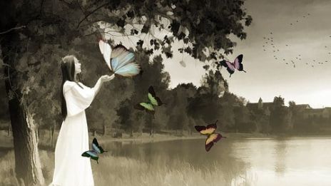 Sosiaalisesta akusta