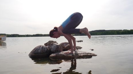 Ayurvedinen lääketiede