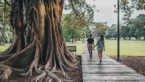 Täydellinen ystävyys