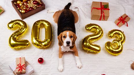 Uuden vuoden edessä