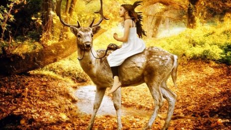 Ystävyyden vaaliminen