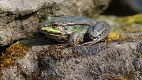 Miből veszem észre hogy megátkoztak?