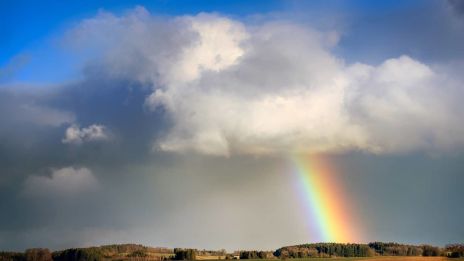 Népi időjárás-jóslatok: Hogyan jósoltak időt régen?