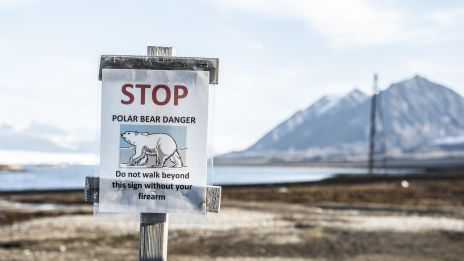A lélek figyelmeztető hangja