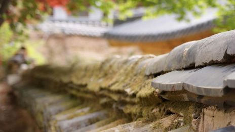 A megvilágosodás útja