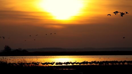 A Naplemente Varázsa