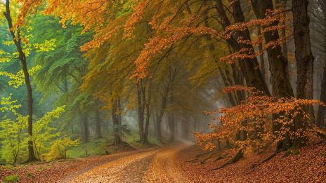 A születési jegy mint a lélek karmikus ösvénye