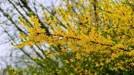 Áprilisi időjárás: Az évszak, ami nem tud dönteni