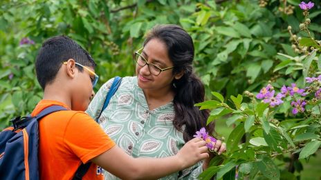 Ártó szándékok szülő és gyermek kapcsolatban : Tudattalan ártó szándékok 3. Projektálás