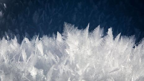 Elrejtett érzelmek és azok feltárása
