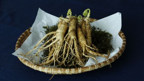 Ginseng