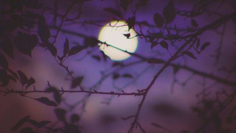 Hold hatása a mindennapjainkra