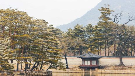 Kapcsolat az ősi szellemi világgal