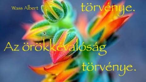 Méltó vagy az élet szeretetére.