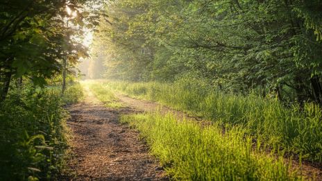 Mennyire működnek a megérzések?