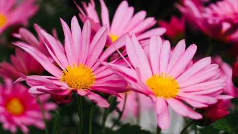 Meghalt a barátnőm...hogyan dolgozzam fel?