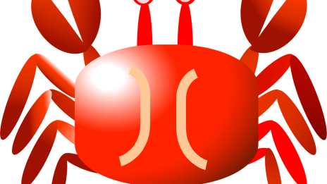 Milyen a RÁK jegyű gyermek az iskolában ha jó