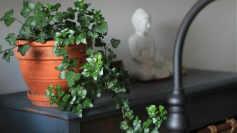 Reinkarnáció és a spiritualitás kapcsolata