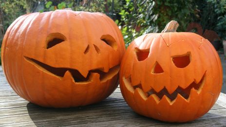 Samhain – a tökfaragás ünnepe