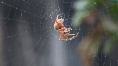 Spirituális tétlenség csapdája