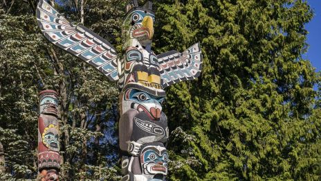 Szellemi vezetők és totemállatok