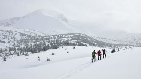 Téli Kirándulások: Új Kalandok a Hóban