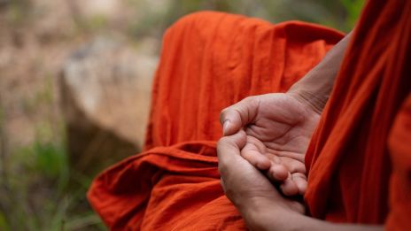 Tenyérjóslás 1. Fővonalak – Életvonal