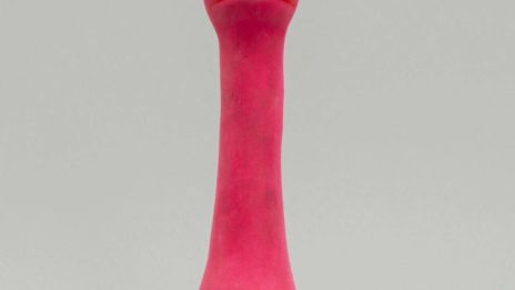 Dildon skapar misstankar