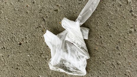 Äckligast av det äckliga