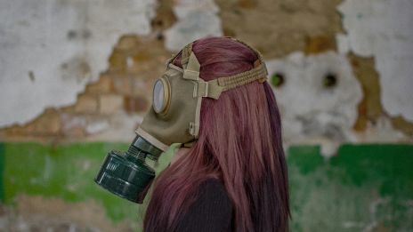 Fisar, pruttar fjärtar och brakare