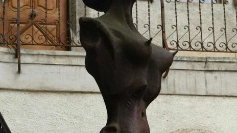 Extra utrustning för lesbiska Anne