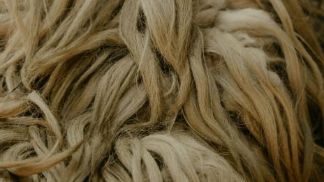 För mycket information