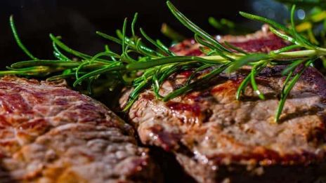 Grillfest