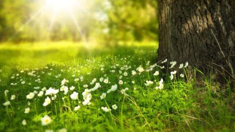 Naturen