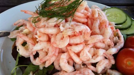 Räkfrossa