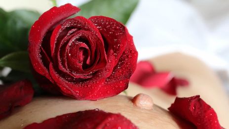 Uutta herkkua etsimään