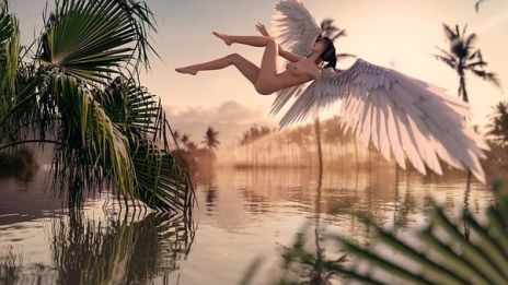 Eläimellistä touhua