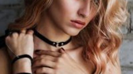 Salainen lemmenleikki