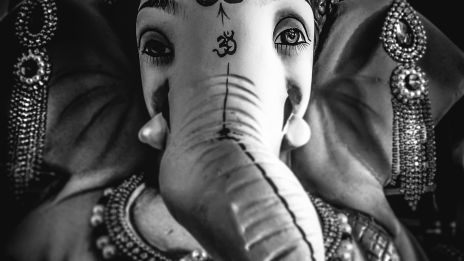 Dagens kraftdjur – Vit Elefant