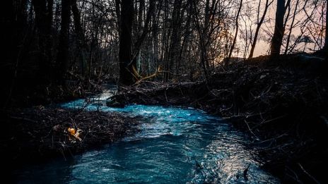 En sierskas liv i naturen