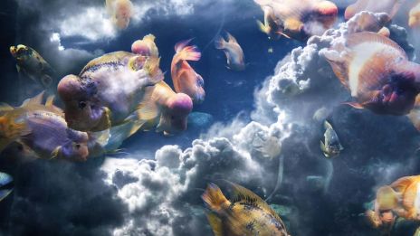 10. Februar 2025, Portaldag