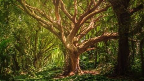 Alt nytt fødes i mai