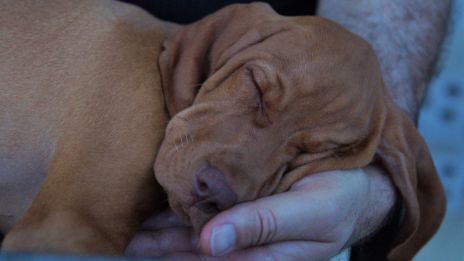 Stoler på gode sjeler