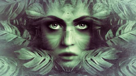 Manifestasjions Magi