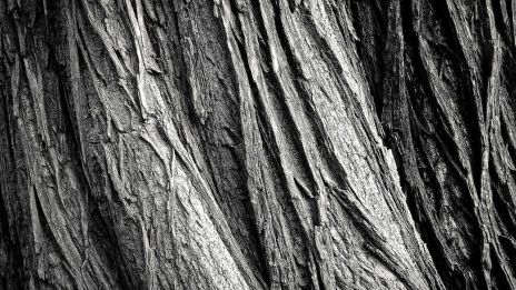 Tilbakevending til urkraften