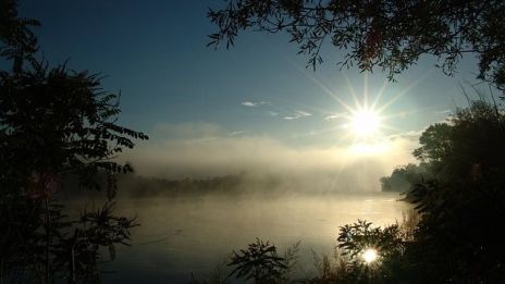 Skogsväsen vid sjön