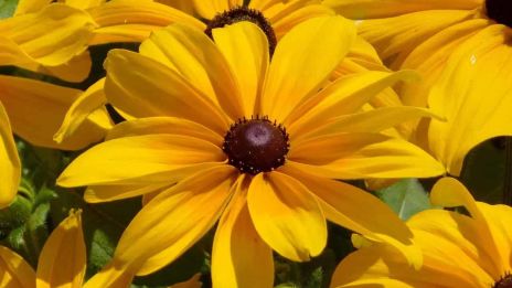 Välkommen juli, med mormors bok som sällskap