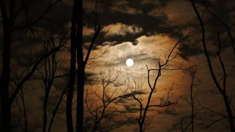 Astrologi 1-7 Oktober 2025