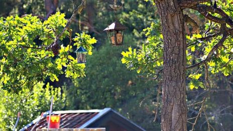 En underbar tid i naturen