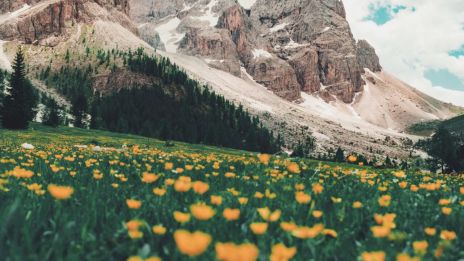 Första Kvartetsmånen